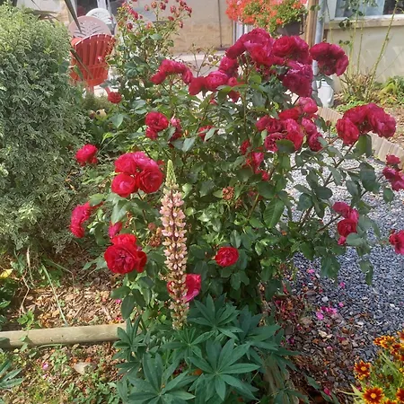 Bed & Breakfast La 3*