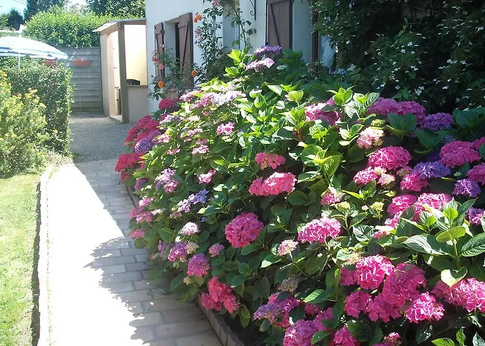 Bed & Breakfast La 3*