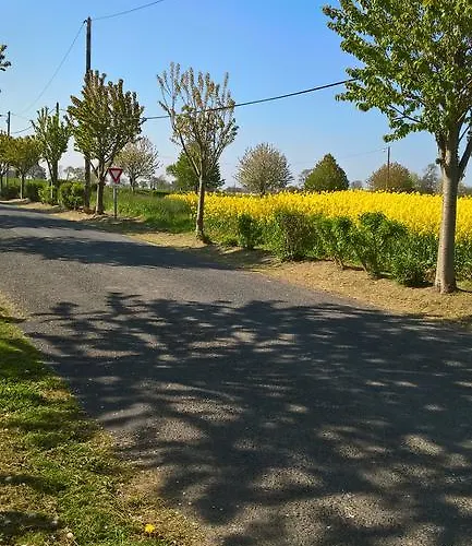 Bed & Breakfast La 3*